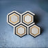 Calacatta Gold Marble Hexagon w/ Black & Brass - Polished Mosaic Tile