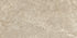 Holystone Beige Matt Porcelain Tile