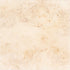 Tiramisu Tumbled PAVERS ®