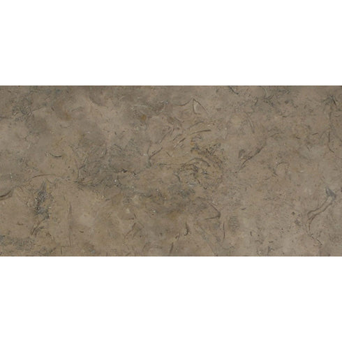 Fossil Brown Limestone Tile 16" X 24" 3/8 Polished Tile