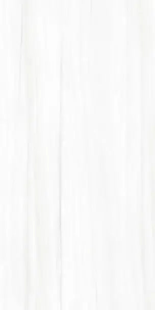 Evoque Blanco 24X48 Wall And Floor Tile