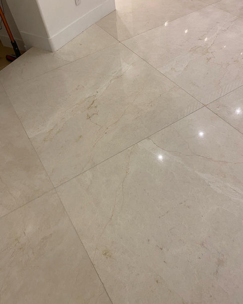 Noble White Cream Wall and Floor Tile 36×36"