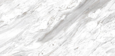 Bianco Carrara Polished Wall and Floor Tile 24"x48"