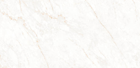 Calacatta Glam Polished Wall and Floor Tile 24"x48"