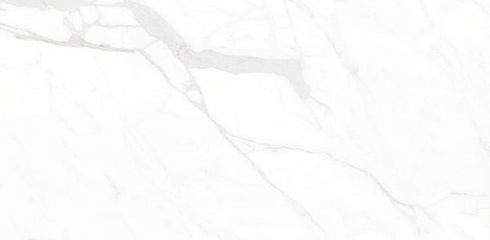 Calacatta Suave Polished Wall and Floor Tile 24"x48"