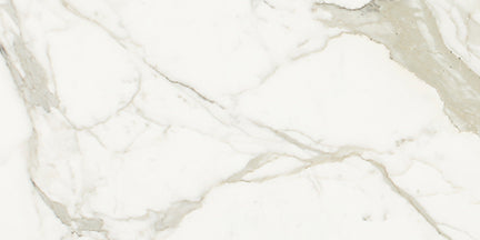 Calacatta Gold Wall and Floor Backsplash Wall Tile 3x6"