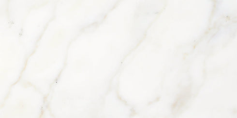 Calacatta Gold Wall and Floor Backsplash Wall Tile 12x24"