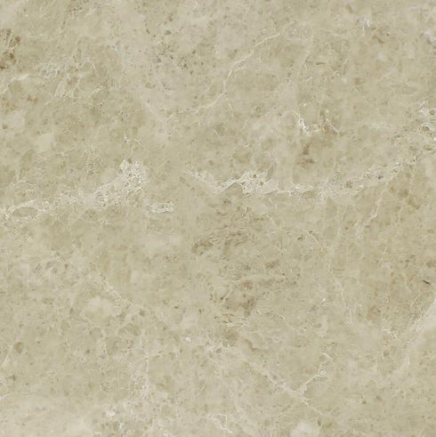 Cappuccino Polished Wall and Floor Tile 18x18"