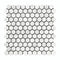 Carrara Italian Hexagon Mosaic Backsplash Wall Tile 1"