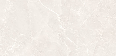 Grigio White Polished Wall and Floor Tile 24"x48"