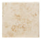 Ivory Travertine Tumbled Coping Exterior Pool Tile 12X12" 2"