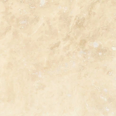 Ivory / Light 18" X 18" Tile - (Cross-cut) Filled & Polished