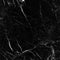 Nero Marquina Polished Wall and Floor Tile 12x12"