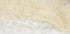 Onyx Ostra Ivory Polished Wall and Floor Tile 24"x48"