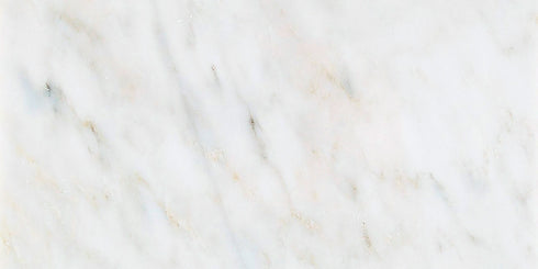 Oriental White Wall and Floor Tile 12x24"