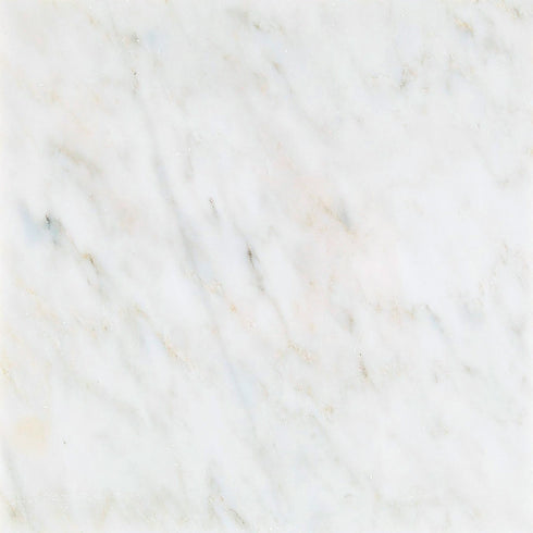 Oriental White Wall and Floor Tile 24x24"