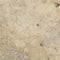 Philadelphia Travertine Filled & Honed Wall and Floor Tile 12x12"