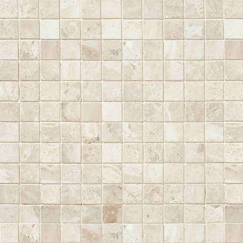 Queen Beige Polished Square Mosaic Tile 1x1"