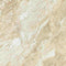 Queen Beige Polished Wall and Floor Tile 24x24"