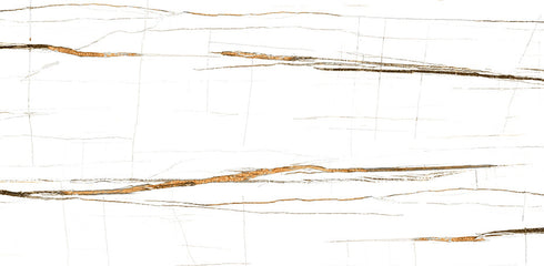 Sahara Noir Gold Polished Wall and Floor Tile 24"x48"