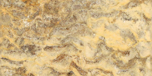 Scabos 12" X 24" Tile - (Cross-cut) Filled & Polished