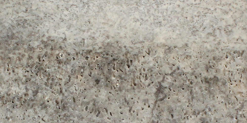 Silver 12" X 24" Tile (Vein-cut) Filled & Polished