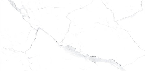 Statuario Polished Wall and Floor Tile