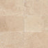 Ivory Travertine Filled & Honed Wall and Floor Tile 6x12"