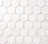 Bianco Dolomite Polished Hexagon Mosaic Tile 2"x2"