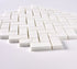 Bianco Dolomite Polished Herringbone Mosaic Tile 1"x2"