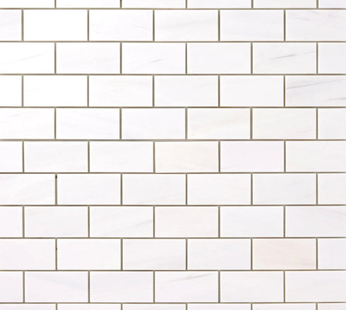 Bianco Dolomite 2" X 4" Brick Polished