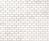 Bianco Dolomite Polished Brick Mosaic Tile 1"x2"