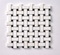 Bianco Dolomite Basketweave w/ Black Dots Polished