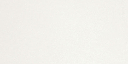 Thassos White Wall and Floor Tile 6"x12"