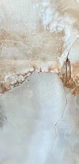 a bird sitting on top of a stone slab