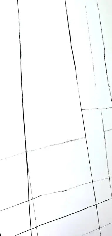 Auriga White 24X48 Wall And Floor Tile