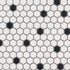 Italian White Hexagon w / Black Dots Matte Honed Backsplash Mosaic Tile 1"