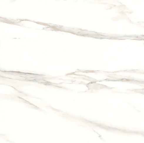 Blanco Oro Porcelain 24X24 Wall And Floor Tile