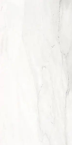 Delicato Blanco 24X48 Wall And Floor Tile