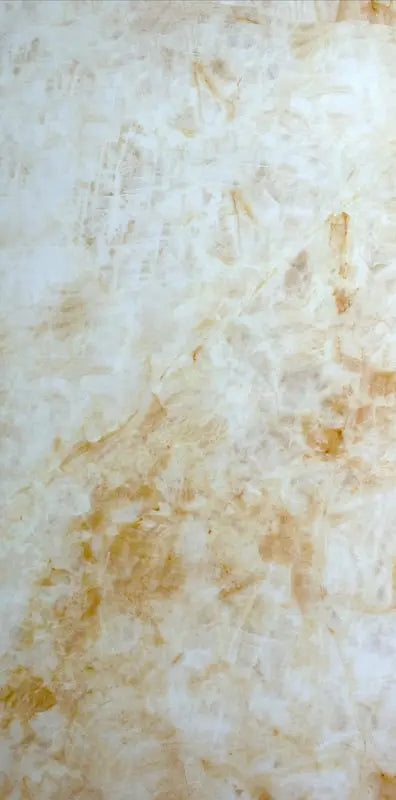 Onyx Wall and Floor Tile 48x48