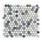 Thassos White Penny-Round Mosaic (Carrara + Blue) Polished