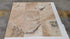 Malibu Travertine Tile 18" X 18" 3/8 Filled & Honed Tile