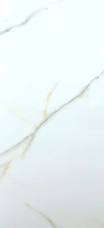 Droma Satvario 24X48 Wall And Floor Tile