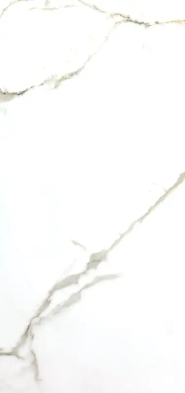 Esclate Statuario 24X48 Wall And Floor Tile