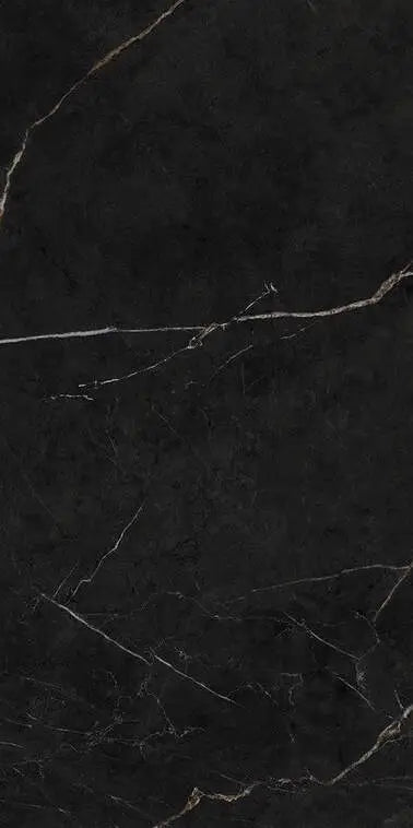 Essenza Black 24X48 Wall And Floor Tile