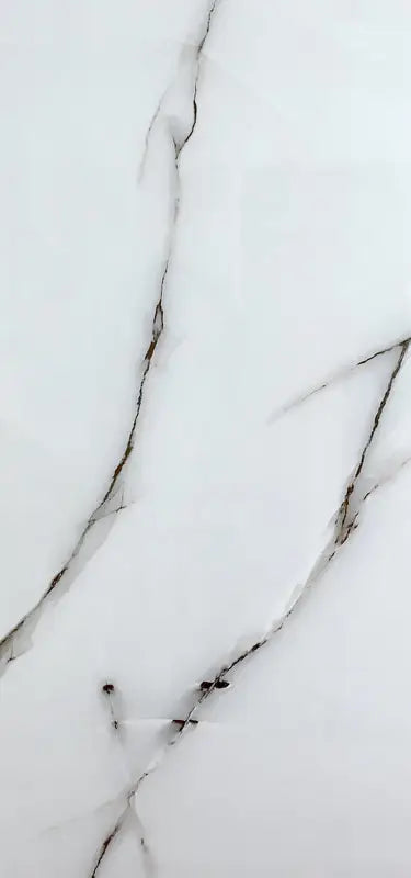 Fiora Grey 24X48 Wall And Floor Tile