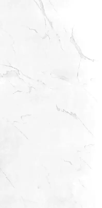 Statuario Hawk 24X48 Wall And Floor Tile