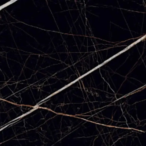 Laurant Gold Negro 48X48 Wall And Floor Tile