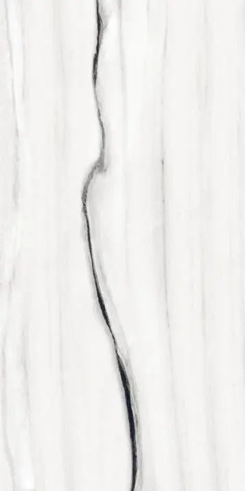 Panda Nero 24X48 Wall And Floor Tile