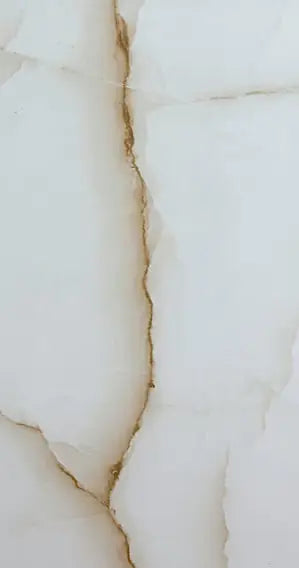 Oxide Brown 12X24 Wall And Floor Tile